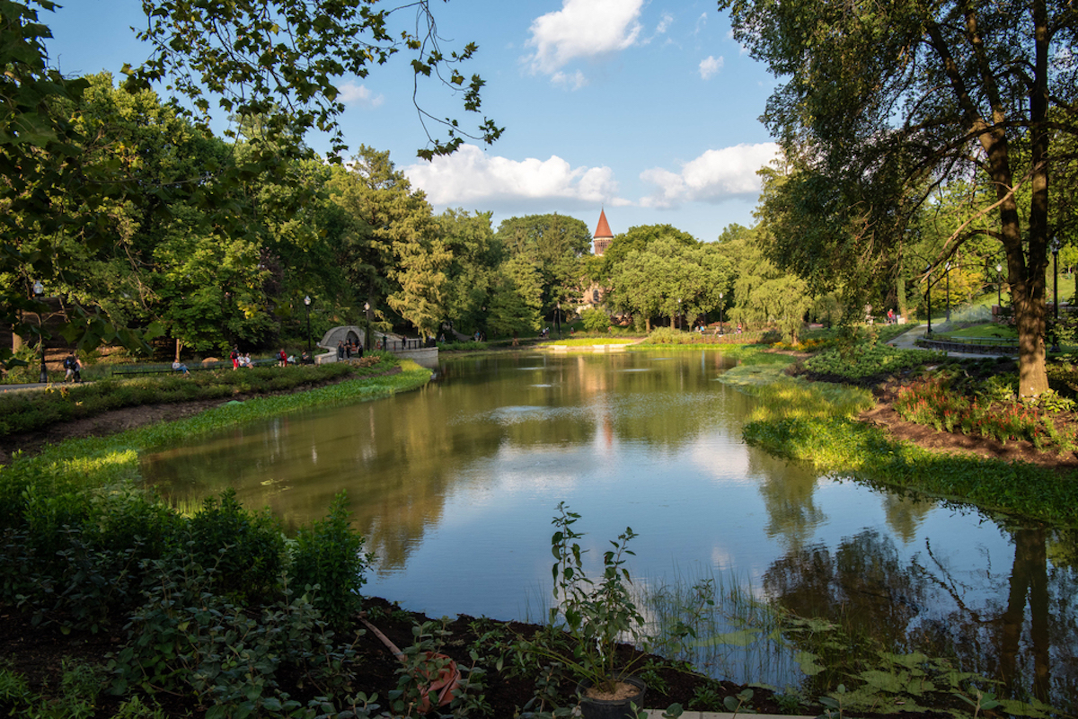 Photo of Mirror Lake during the day time.