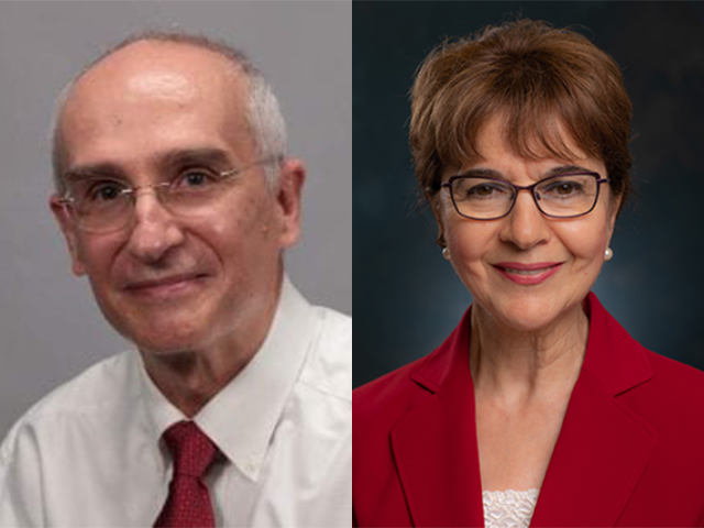 Antonio Conejo and Umit Ozkan