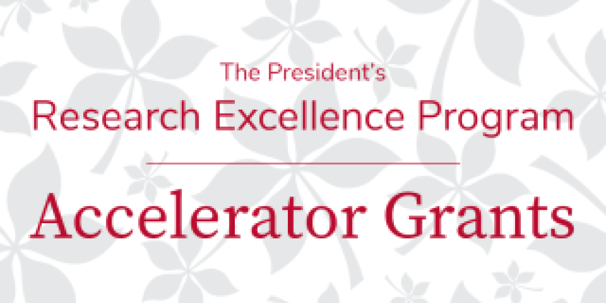 President's Research Excellence Program Accelerator Grants
