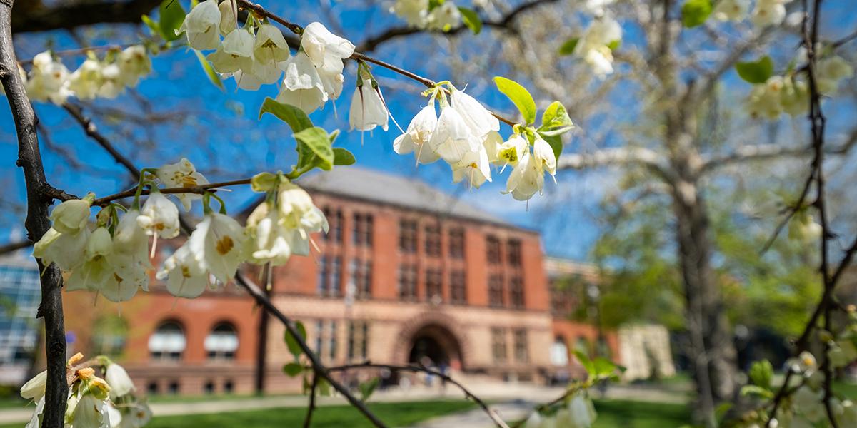 Spring campus photo with flowers in foreground and Hayes Hall blurred in the background