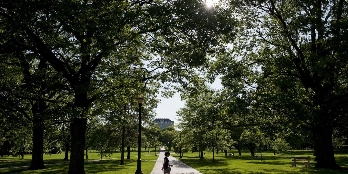 Picture of a person walking the oval on a sunny day, surrounded by lush trees.