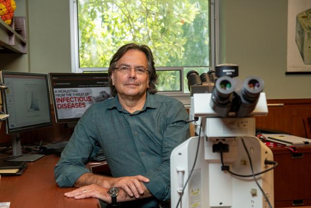 A professor at a desk
