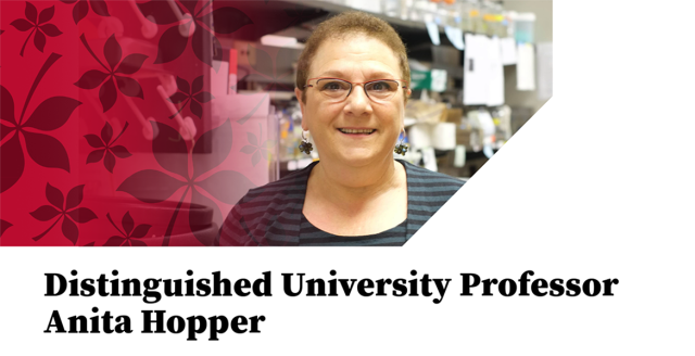 Distinguished University Professor Anita Hopper headshot
