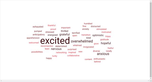 This word cloud were the responses from those attending New Faculty Orientation about how they felt beginning their journey at Ohio State. The top four words in order were excited, overwhelmed, anxious, and hopeful. Other words include exhausted, thankful, important, humbled, distracted, stimulated, grateful, energized, apprehension, possibilities, happy, lucky, and collaborative.