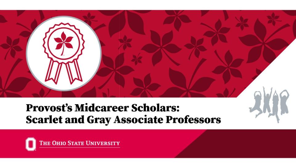 Provost's Midcareer Scholars: Scarlet and Gray Asssociate Professors banner