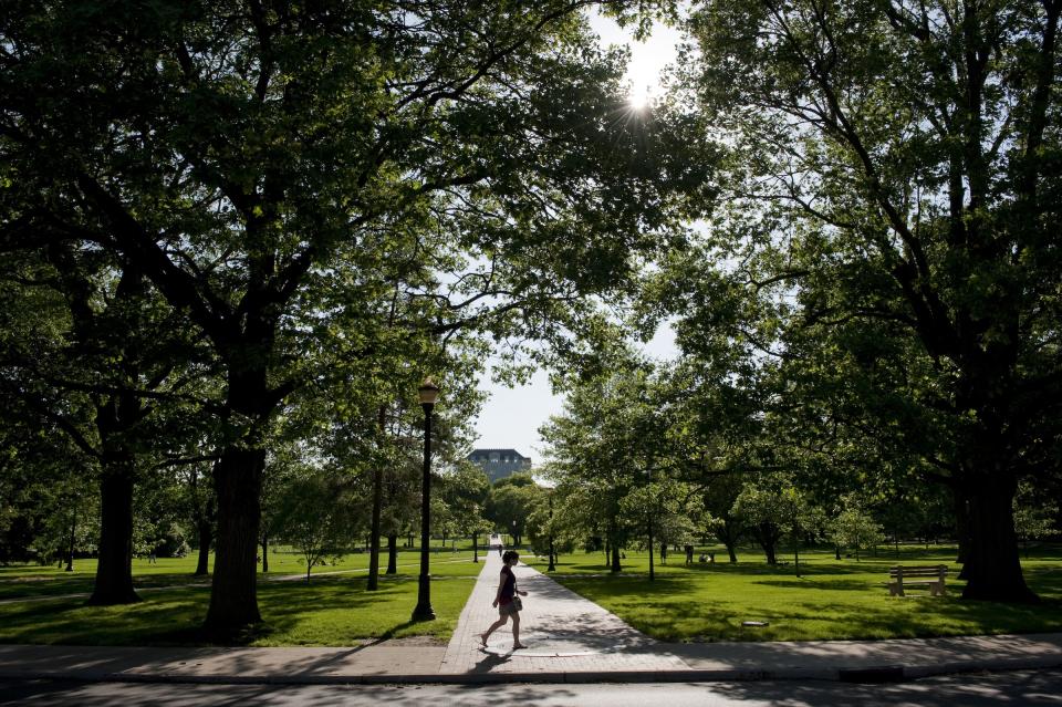 Picture of a person walking the oval on a sunny day, surrounded by lush trees.